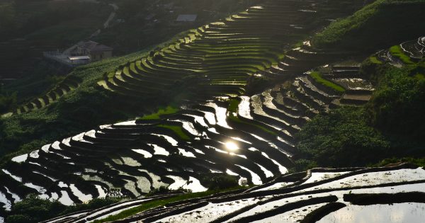 【最新】サパ現地ツアー徹底ガイド！秘境の棚田から絶景ハイキングまでおすすめ紹介