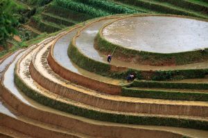 【黄金の絶景】世界一美しい「天国への階段」を訪ねる。ムーカンチャイ棚田紀行 4日間
